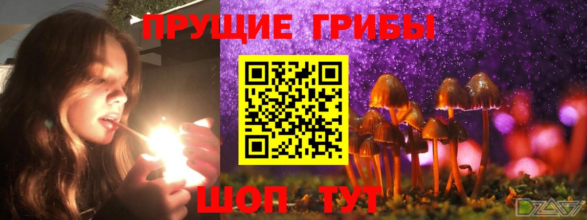 Псилоцибиновые грибы GOLDEN TEACHER Южноуральск