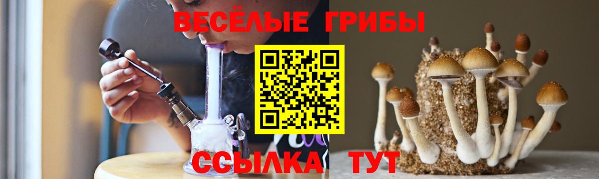 наркотики  Псилоцибиновые грибы прущие грибы  Вход с VPN  Южноуральск 